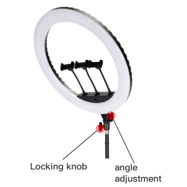 Ring Light JMARY FM-21R Avec Trépieds